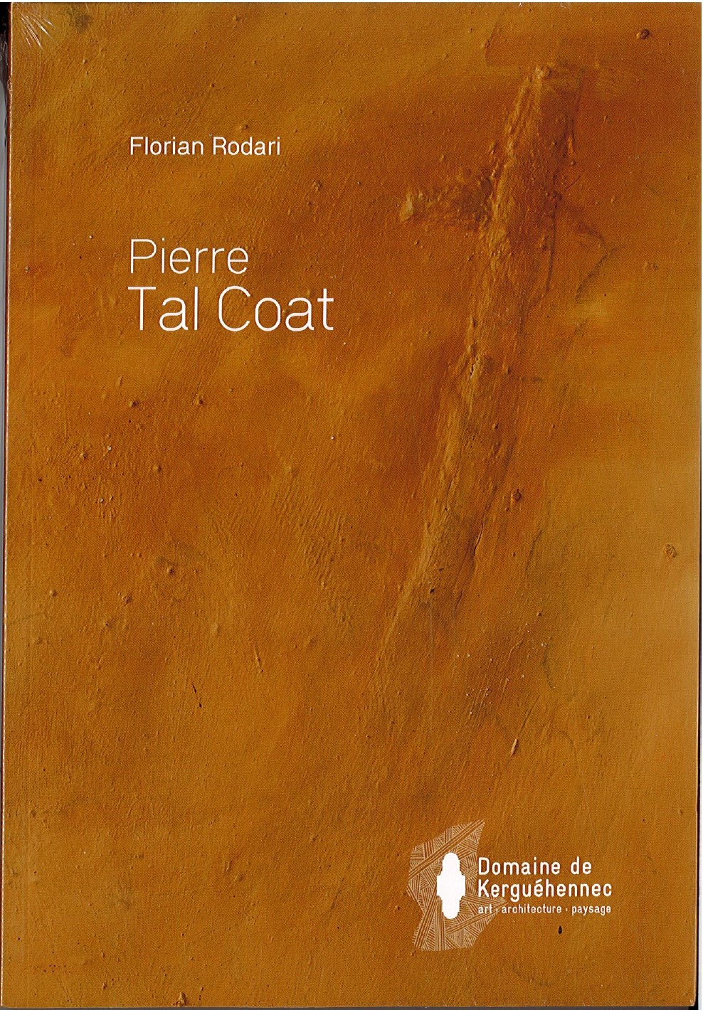 Pierre Tal Coat