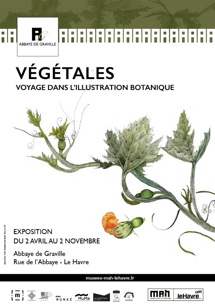VÉGÉTALES Voyage dans l'illustration botanique