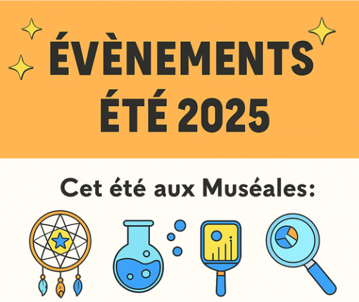 Animations de l'été 2025 - Un été de découvertes
