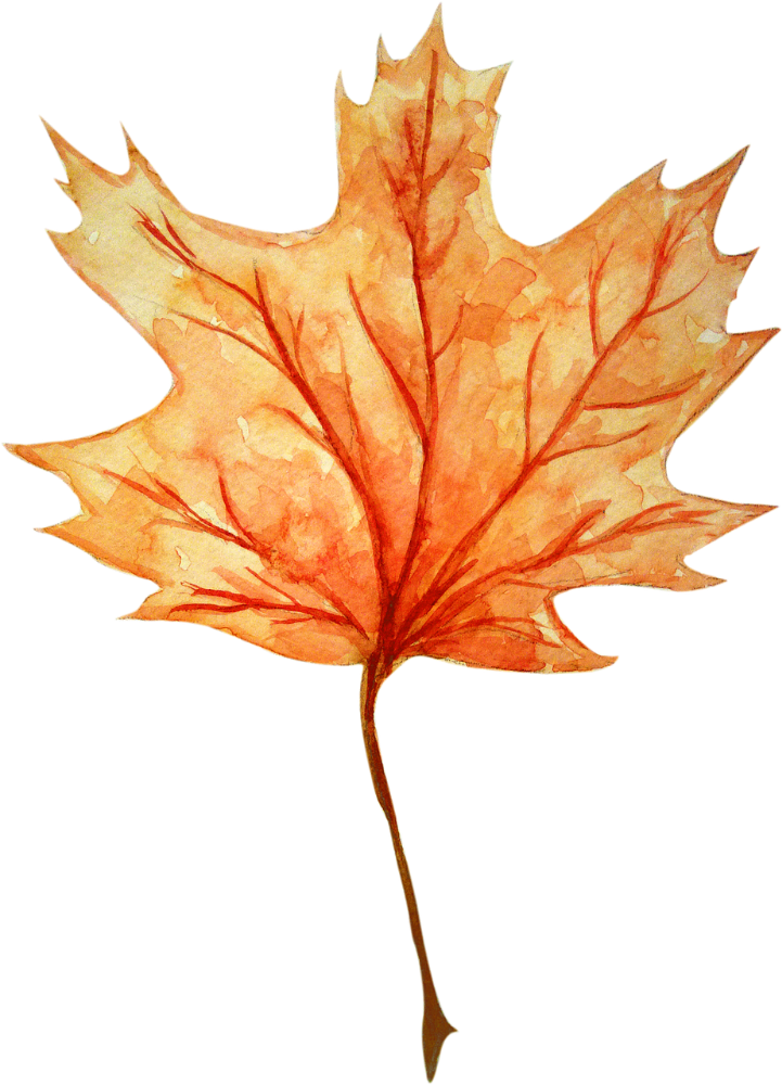 Atelier « illustration d'automne » (9- 15 ans)