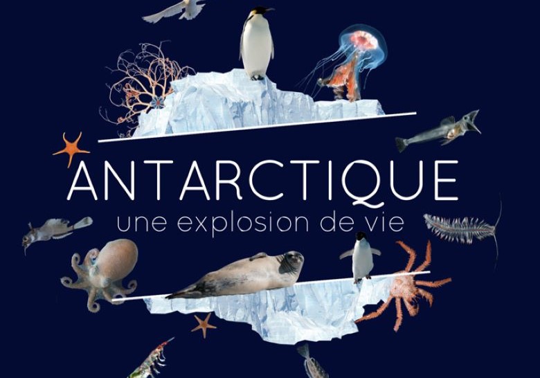 Antarctique. Une explosion de vie