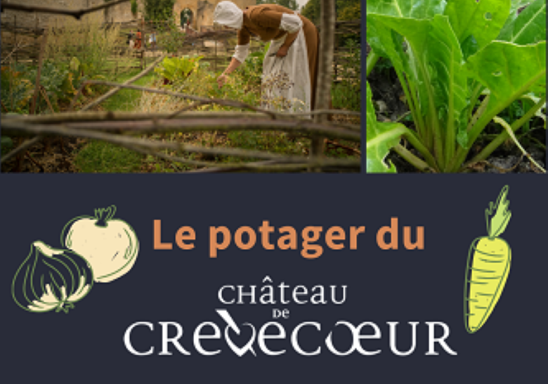 Le potager au Moyen Âge