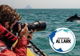 Conférence sur les mamifères marins de la Baie