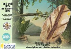 « Raconte-moi les plantes »