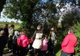 Balade buissonnière et confection d'un herbier d'automne